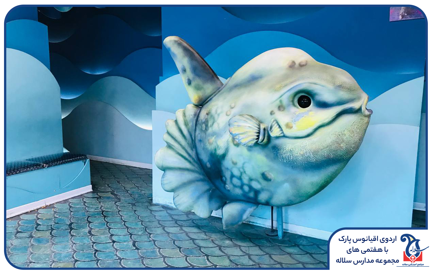اردوی اقیانوس پارک مدرسه سلاله